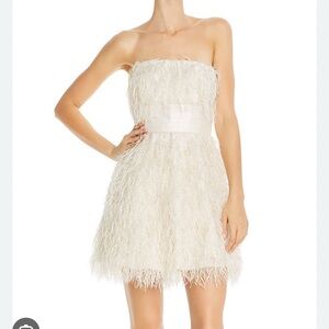 NWT JAYGODFREY Mini Dress